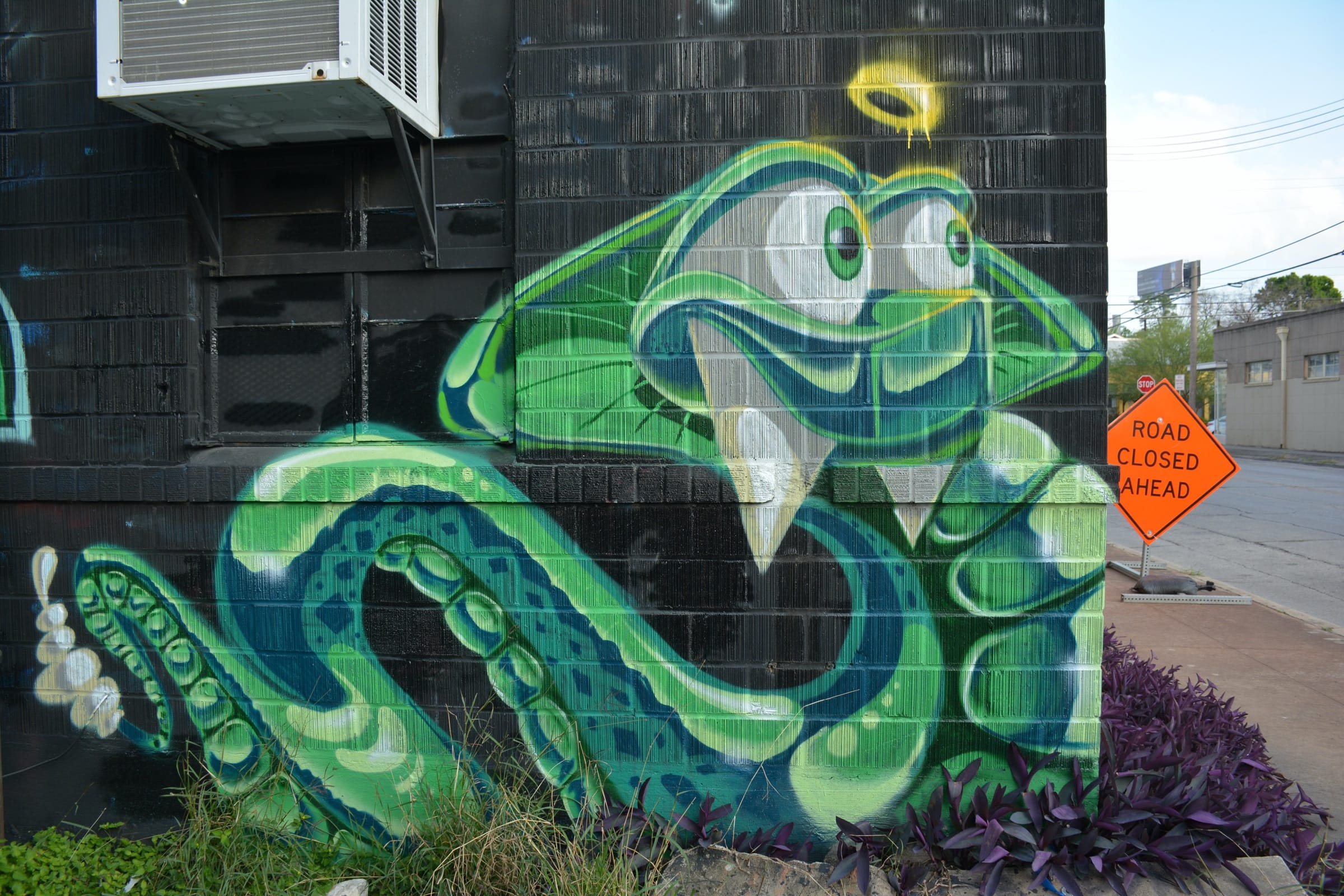 Snake Graffiti